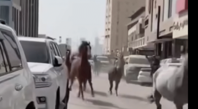 لا صحة لخروج خيول في دبي والفيديو مولد بالذكاء الاصطناعي