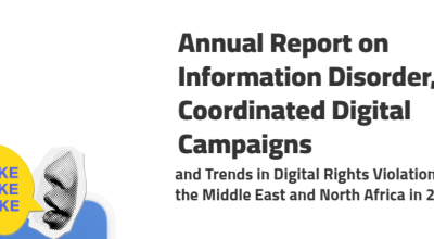 Annual Report on Information Disorder, Coordinated Digital Campaignsand Trends in Digital Rights Violations in the Middle East and North Africa in 2024