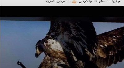 لم يقم صقر بالتقاط طائرة تجسس كانت تجوب سماء غزة