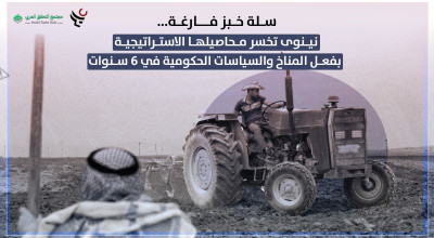 سلة خبز فارغة... نينوى تخسر محاصيلها الاستراتيجية بفعل المناخ والسياسات الحكومية في 6 سنوات