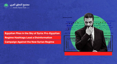 Egyptian Flies in the Sky of Syria: Pro-Egyptian Regime Hashtags Lead a Disinformation Campaign Against the New Syrian Regime