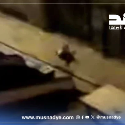 الفيديو قديم ولا علاقة له بـحضرموت.. يوثق قمع متظاهرين خلال الثورة الشبابية السلمية عام 2011