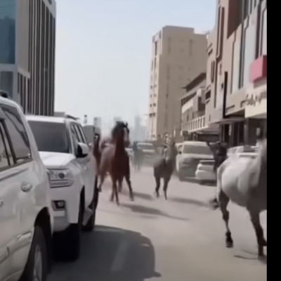 لا صحة لخروج خيول في دبي والفيديو مولد بالذكاء الاصطناعي
