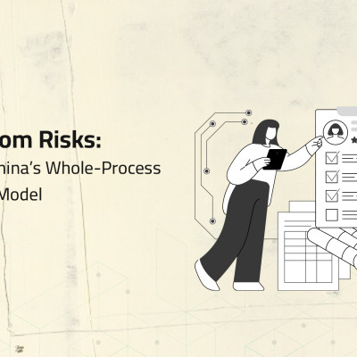 Learning from Risks: Insights from China’s Whole-Process AI Governance Model