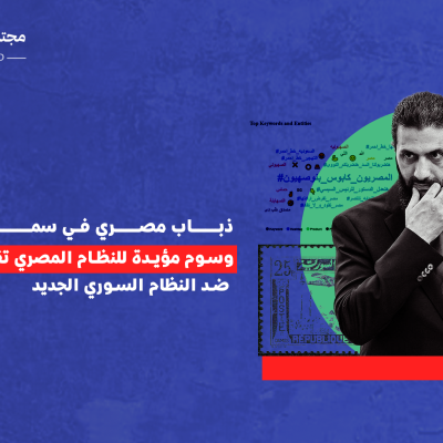 ذباب مصري في سماء سوريا.. وسوم مؤيدة للنظام المصري تقود حملة تضليل ضد النظام السوري الجديد