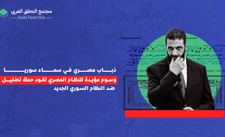 ذباب مصري في سماء سوريا.. وسوم مؤيدة للنظام المصري تقود حملة تضليل ضد النظام السوري الجديد