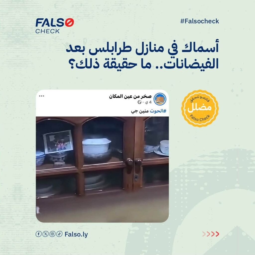 أسماك في منازل طرابلس بعد الفيضانات.. ما حقيقة ذلك؟