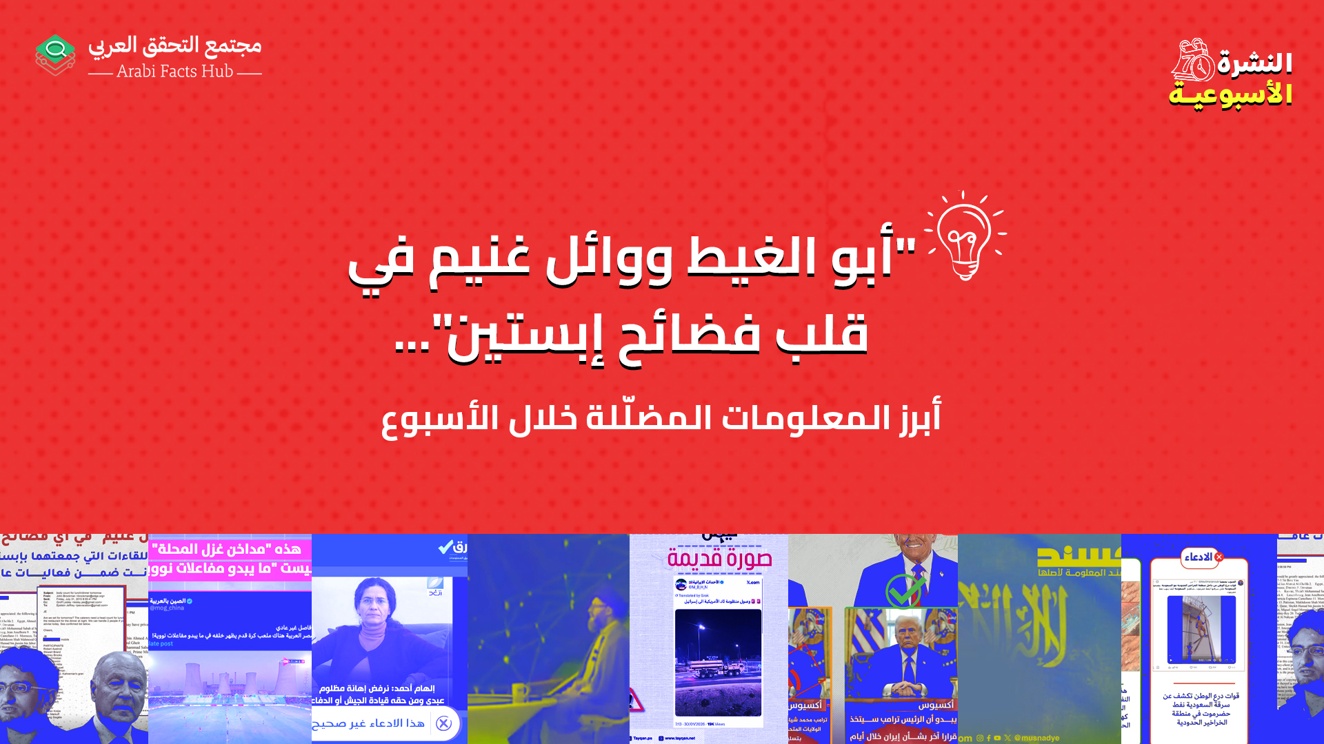 "أبو الغيط ووائل غنيم في قلب فضائح إبستين"... أبرز المعلومات المضلّلة هذا الأسبوع