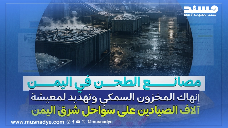 مصانع الطحن في اليمن: إنهاك المخزون السمكي وتهديد لمعيشة آلاف الصيادين على سواحل شرق اليمن - تتبع عبر المصادر المفتوحة
