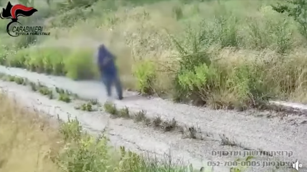 فيديو لحريق مفتعل من ايطاليا يعاد نشره مع الادعاء أنه في القدس