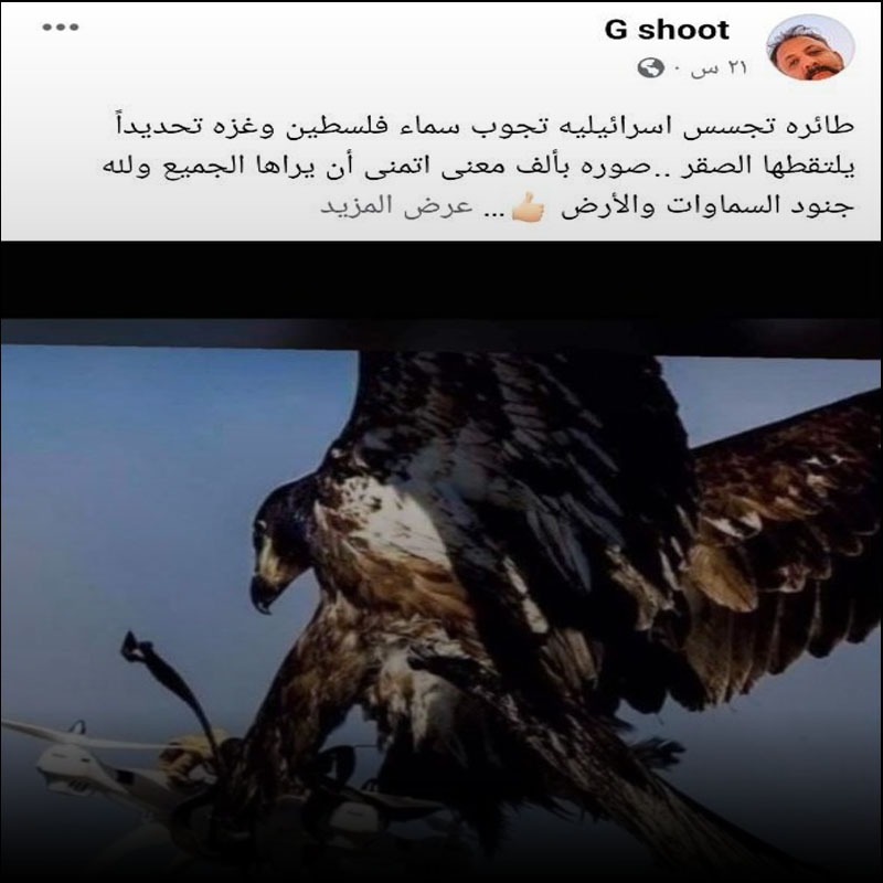 لم يقم صقر بالتقاط طائرة تجسس كانت تجوب سماء غزة